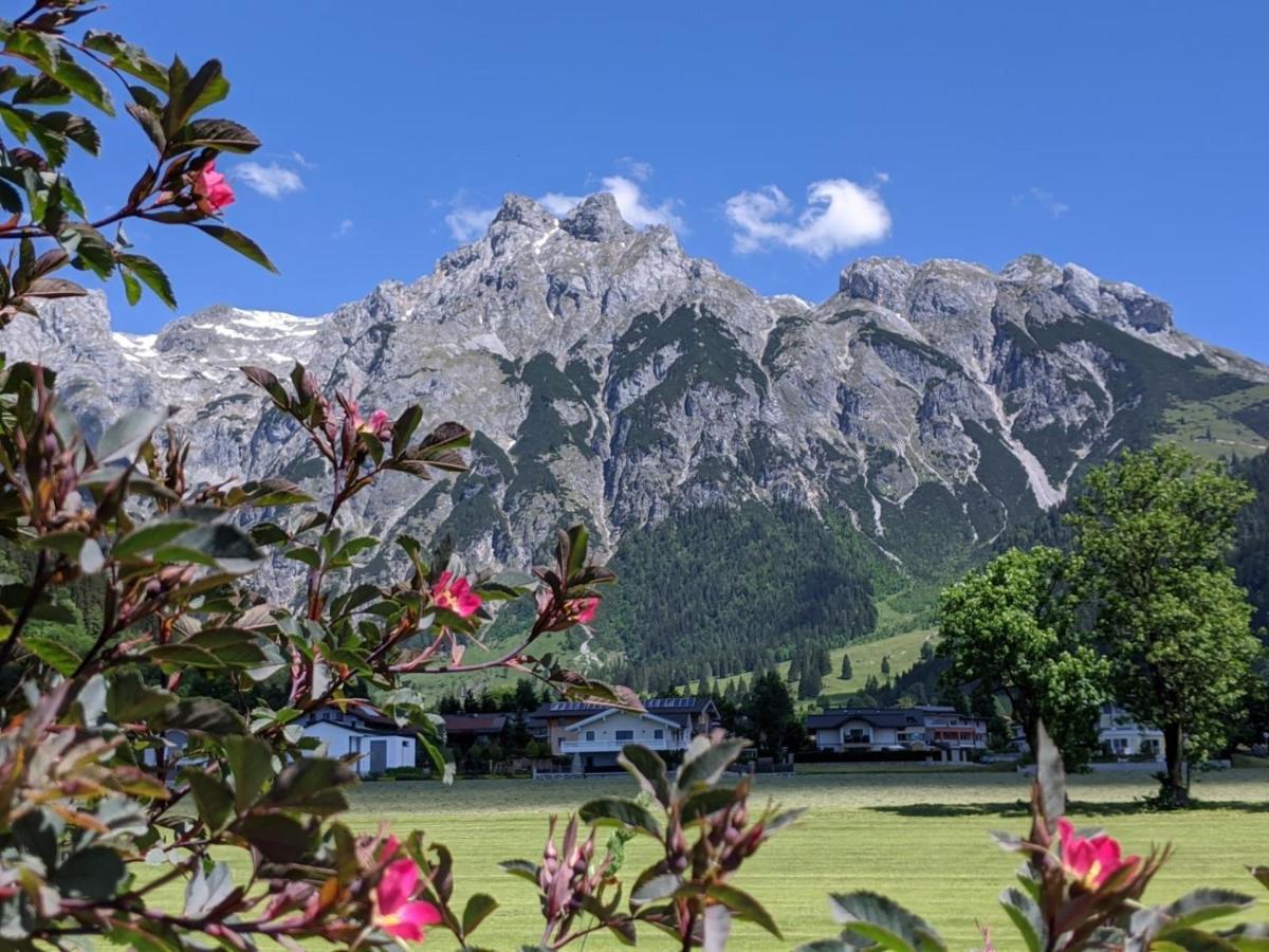 Bio Bauernhof Vorderoberlehen Hotel Werfenweng Bagian luar foto