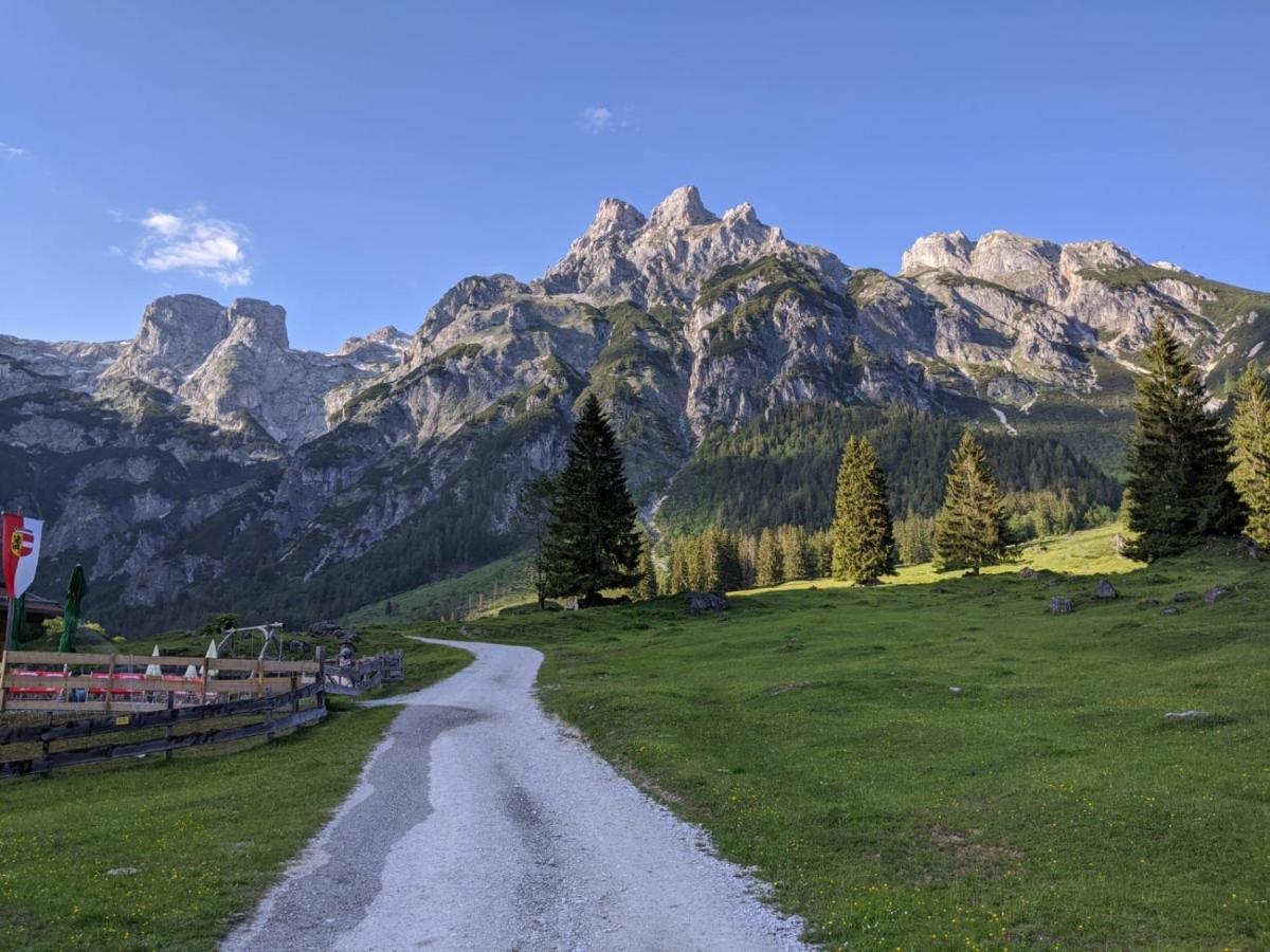 Bio Bauernhof Vorderoberlehen Hotel Werfenweng Bagian luar foto
