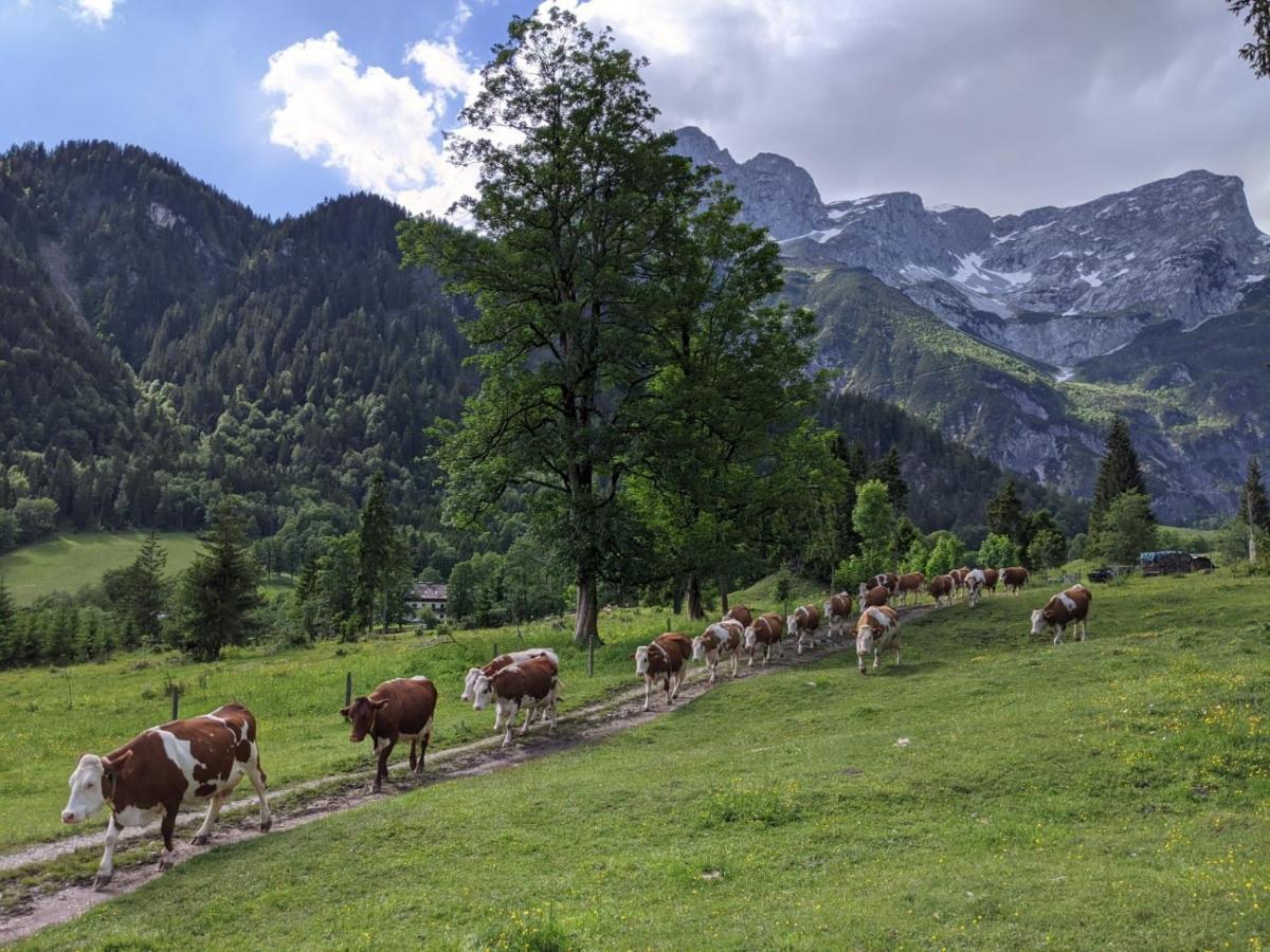 Bio Bauernhof Vorderoberlehen Hotel Werfenweng Bagian luar foto