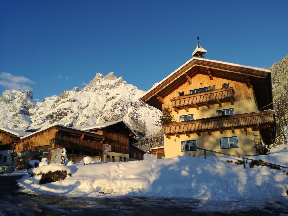 Bio Bauernhof Vorderoberlehen Hotel Werfenweng Bagian luar foto