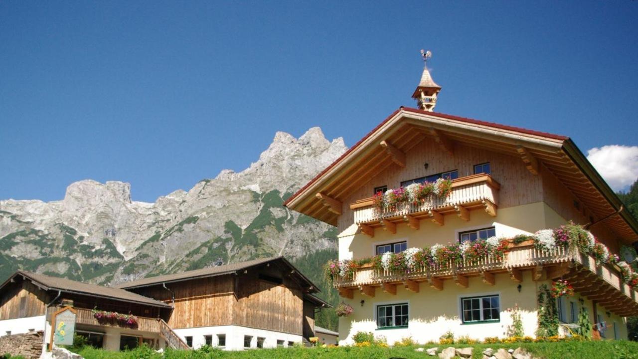 Bio Bauernhof Vorderoberlehen Hotel Werfenweng Bagian luar foto