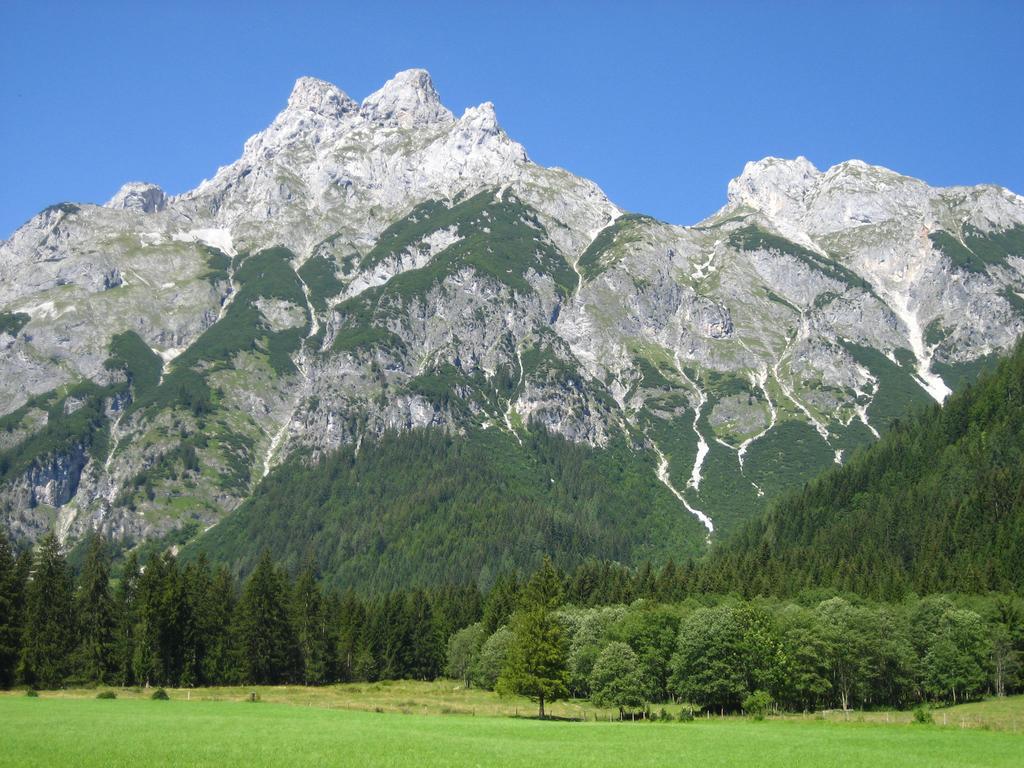 Bio Bauernhof Vorderoberlehen Hotel Werfenweng Bagian luar foto