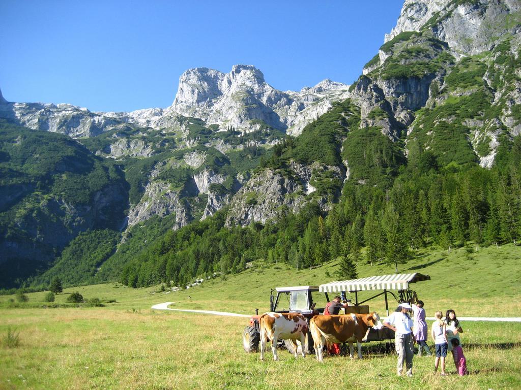 Bio Bauernhof Vorderoberlehen Hotel Werfenweng Bagian luar foto