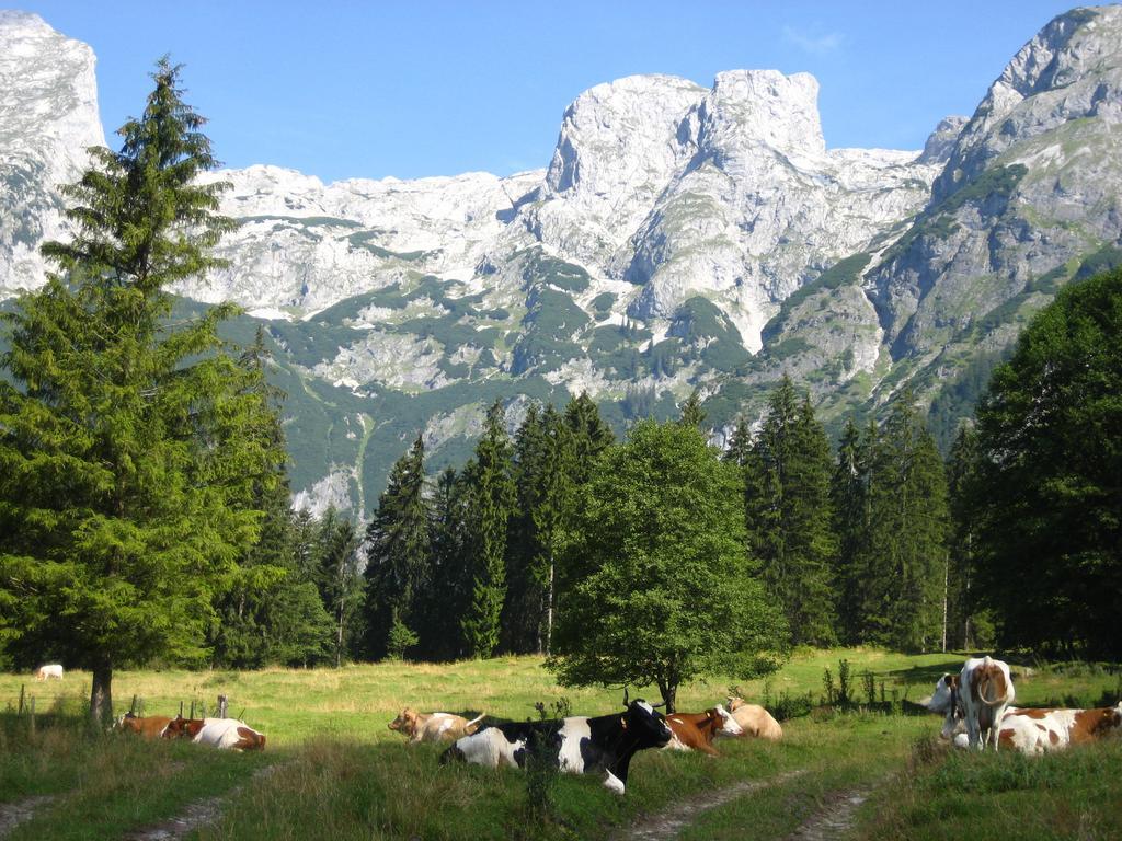 Bio Bauernhof Vorderoberlehen Hotel Werfenweng Bagian luar foto