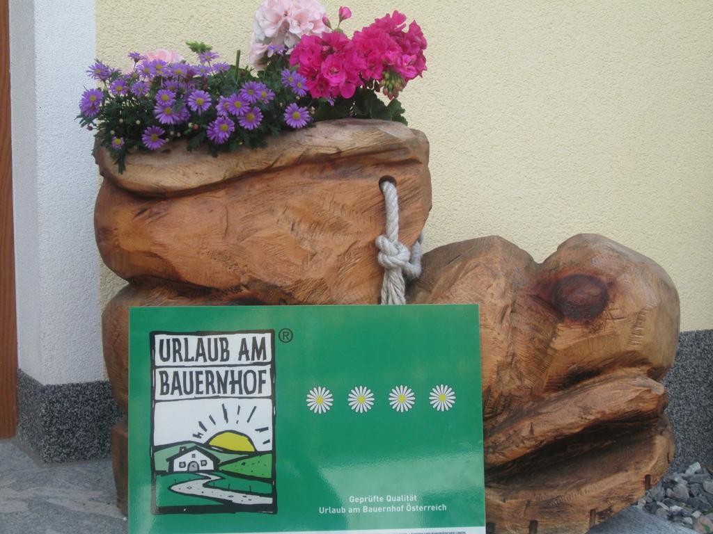 Bio Bauernhof Vorderoberlehen Hotel Werfenweng Bagian luar foto