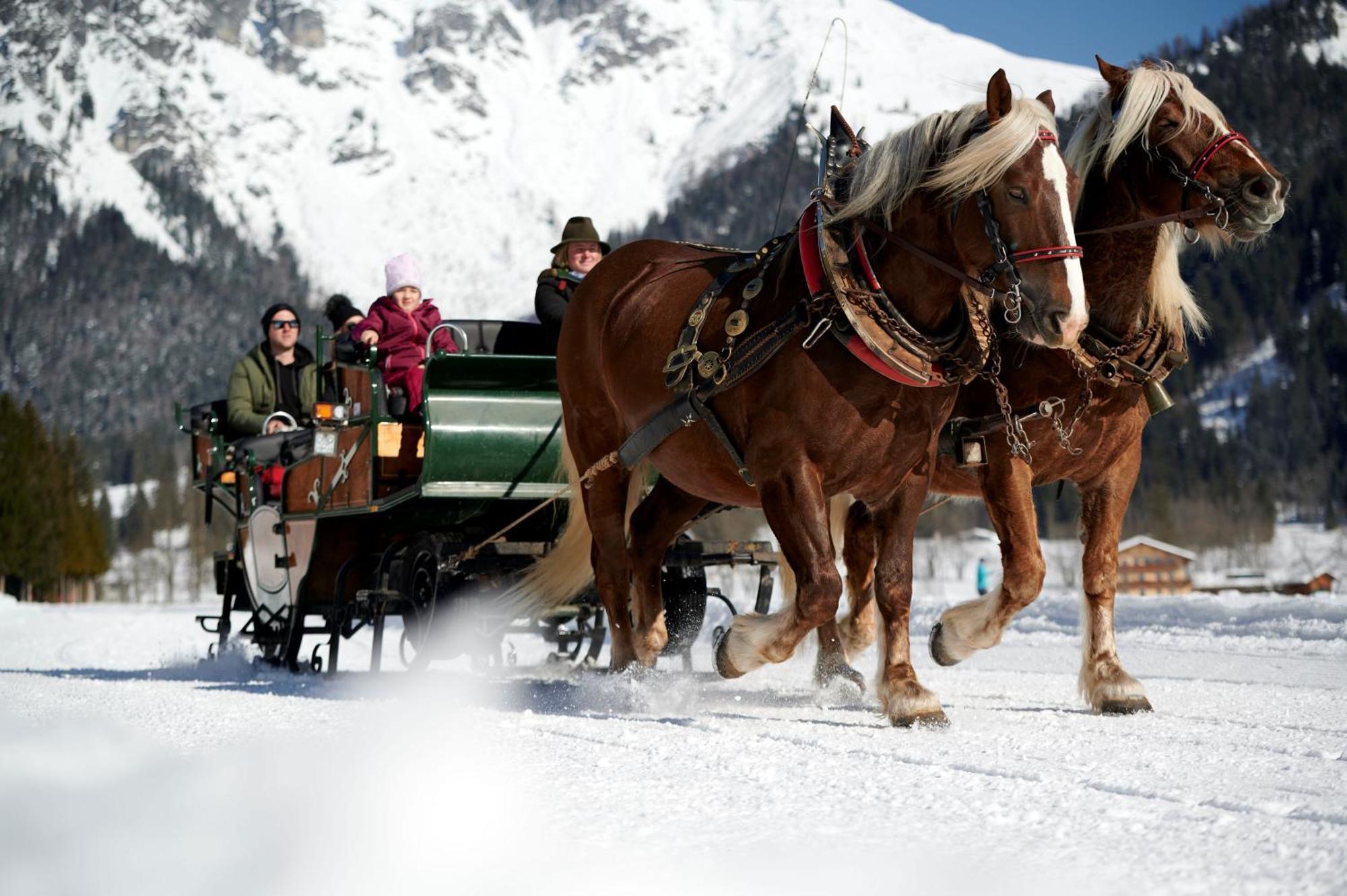 Bio Bauernhof Vorderoberlehen Hotel Werfenweng Bagian luar foto