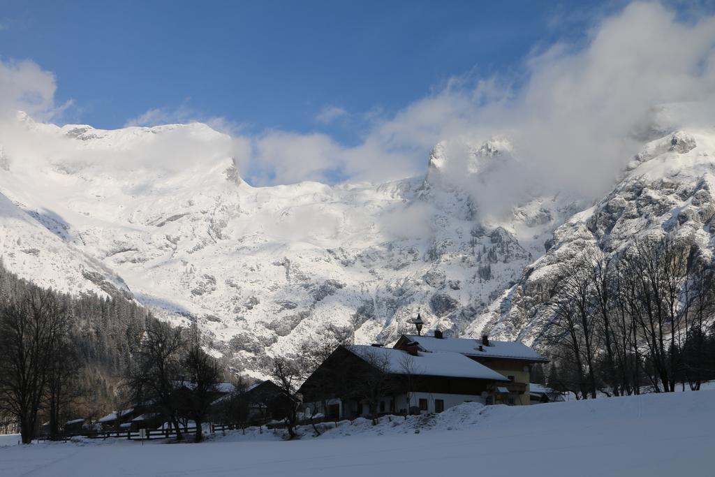 Bio Bauernhof Vorderoberlehen Hotel Werfenweng Bagian luar foto