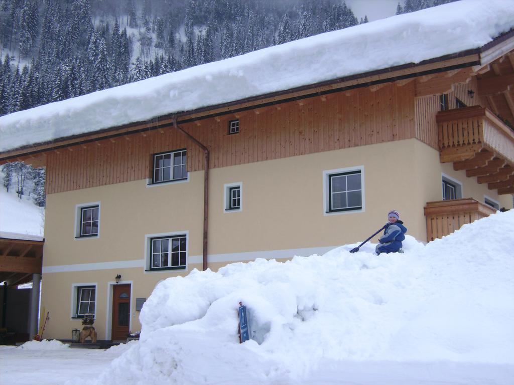 Bio Bauernhof Vorderoberlehen Hotel Werfenweng Bagian luar foto