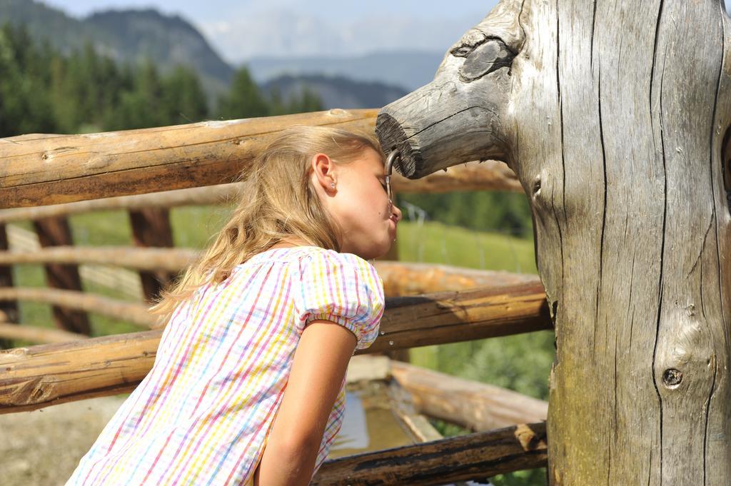 Bio Bauernhof Vorderoberlehen Hotel Werfenweng Bagian luar foto