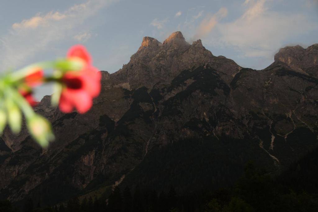 Bio Bauernhof Vorderoberlehen Hotel Werfenweng Bagian luar foto