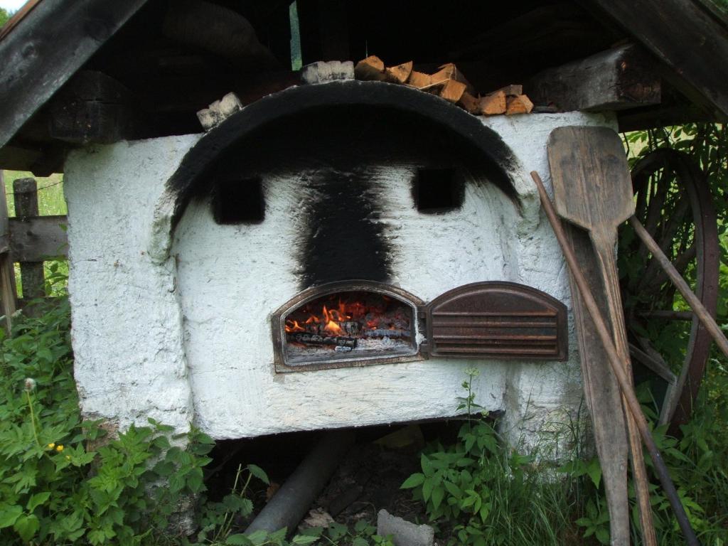 Bio Bauernhof Vorderoberlehen Hotel Werfenweng Bagian luar foto
