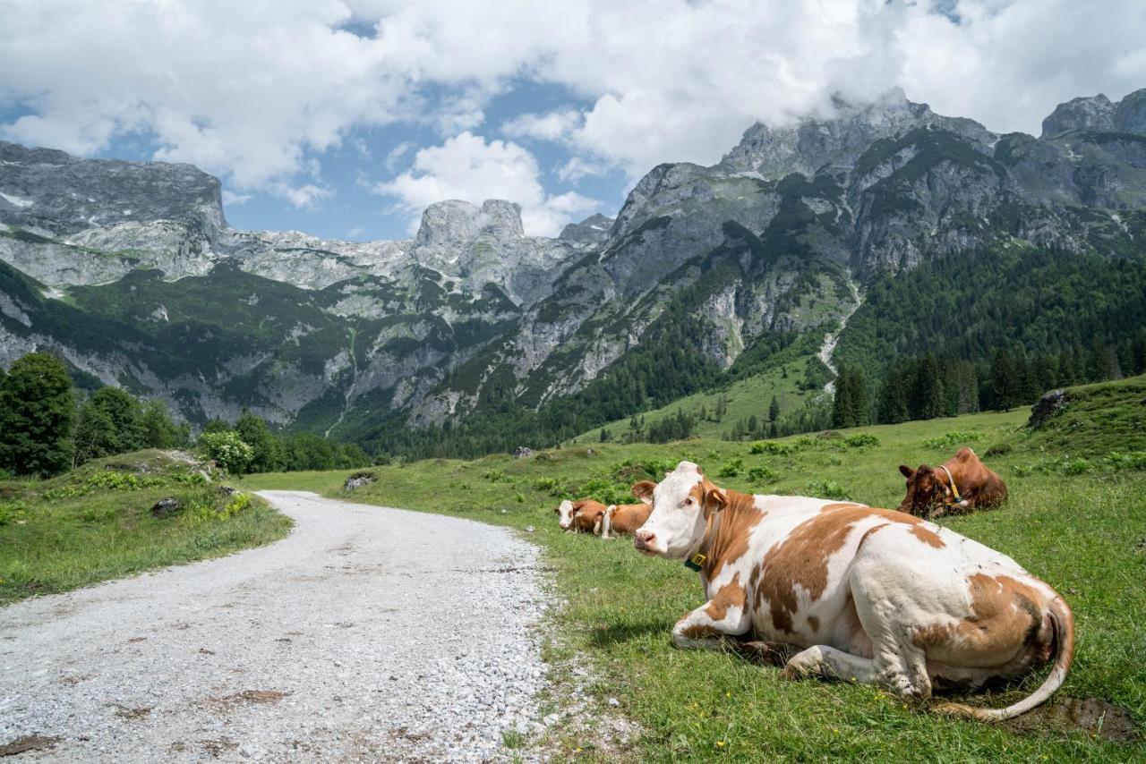 Bio Bauernhof Vorderoberlehen Hotel Werfenweng Bagian luar foto